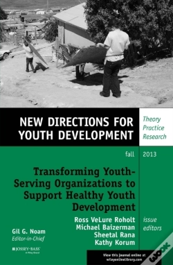 Capa do artigo Transforming Youth Serving Organizations To Support Healthy Youth Development
