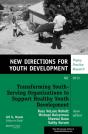 Transforming Youth Serving Organizations To Support Healthy Youth Development - Preview