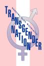 Transgender Nation - Preview