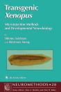 Transgenic Xenopus - Preview