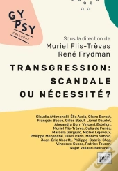 Transgression : Scandale Ou Nécessité