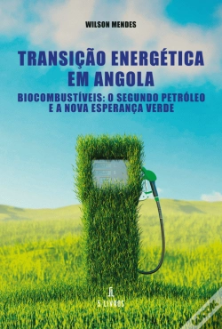 Capa do artigo Transição Energética em Angola