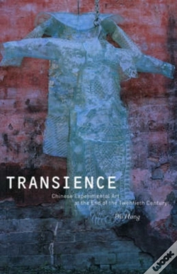 Capa do artigo Transience