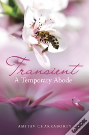 Capa do artigo Transient - A Temporary Abode