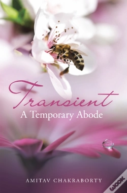 Capa do artigo Transient - A Temporary Abode