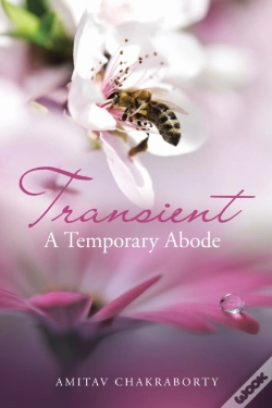 Capa do artigo Transient - A Temporary Abode