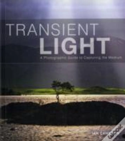Capa do artigo Transient Light