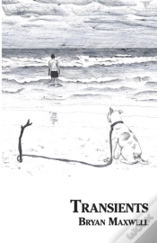 Capa do artigo Transients