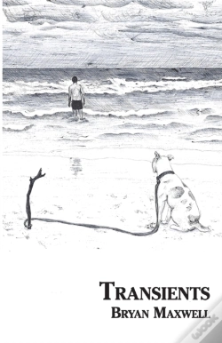 Capa do artigo Transients