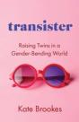 Transister - Preview