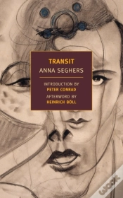 Capa do artigo Transit