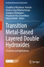 Transition Metal-Based Layered Double Hydroxides - Preview