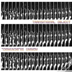 Capa do artigo Transitional Object