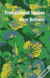 Capa do artigo Transitional Spaces
