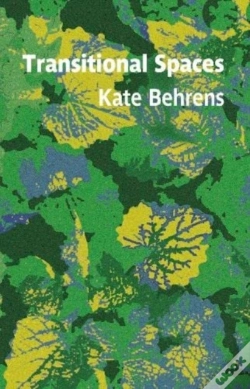 Capa do artigo Transitional Spaces