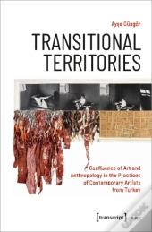 Transitional Territories