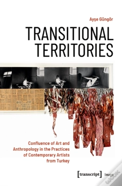 Capa do artigo Transitional Territories