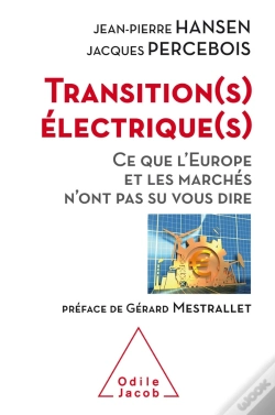 Capa do artigo Transitions Électriques ; Ce Que L'Europe Et Les Marchés N'Ont Pas Su Vous Dire