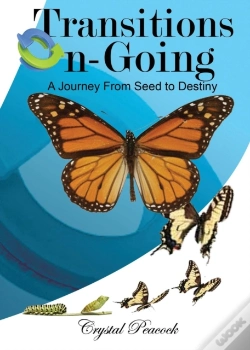 Capa do artigo Transitions On-Going
