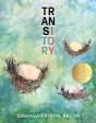 Transitory - Preview