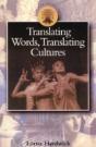 Translating Words, Translating Cultures - Preview