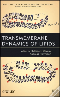 Capa do artigo Transmembrane Dynamics Of Lipids