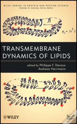 Capa do artigo Transmembrane Dynamics Of Lipids