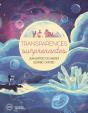 Transparences Surprenantes - Preview