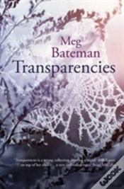 Capa do artigo Transparencies