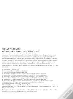 Capa do artigo Transparency
