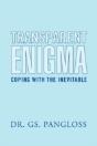 Transparent Enigma - Preview