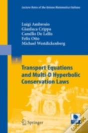 Capa do artigo Transport Equations And Multi-D Hyperbolic Conservation Laws