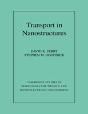Transport In Nanostructures - Preview