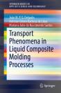 Transport Phenomena In Liquid Composite Molding Processes - Preview