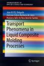 Transport Phenomena In Liquid Composite Molding Processes - Preview