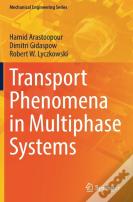 Transport Phenomena In Multiphase Systems
