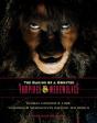 Transylvania And Beyond - Preview