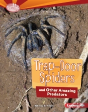 Capa do artigo Trap-Door Spiders And Other Amazing Predators