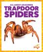 Trapdoor Spiders - Preview