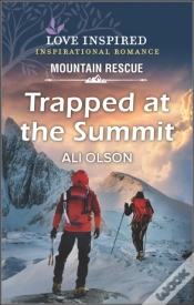 Capa do artigo Trapped At The Summit