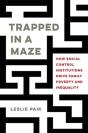 Trapped In A Maze - Preview