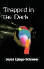 Trapped In The Dark - Preview