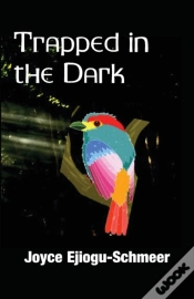Capa do artigo Trapped In The Dark