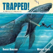 Capa do artigo Trapped!