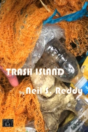 Capa do artigo Trash Island