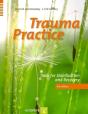 Trauma Practice - Preview