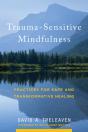 Trauma-Sensitive Mindfulness - Preview