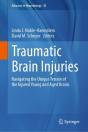 Traumatic Brain Injuries - Preview