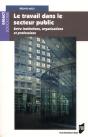Travail Dans Le Secteur Public ; Entre Institutions, Or - Preview