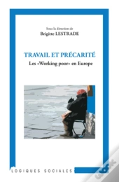 Travail Et Précarité ; Les 